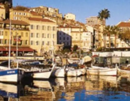 Vieux Port De Cannes